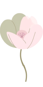 Ateliers de bien-être et santé mentale pour les femmes francophones au Manitoba - Pluri-elles.